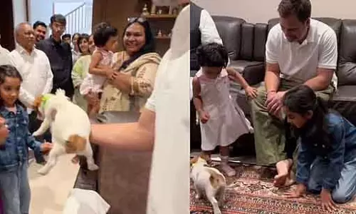 राहुल गांधी मल्लिकार्जुन खड़गे की पोती और पिल्ले के साथ खेलते हुए खुश दिखे - Video राहुल गांधी मल्लिकार्जुन खड़गे की पोती और पिल्ले के साथ खेलते हुए खुश दिखे - Video