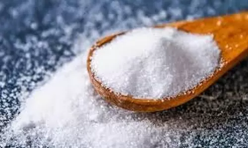 Rajasthan :खाद्य सुरक्षा विभाग की सख्त कार्रवाई,92 हजार किलो से अधिक नमक जब्त Rajasthan :खाद्य सुरक्षा विभाग की सख्त कार्रवाई,92 हजार किलो से अधिक नमक जब्त