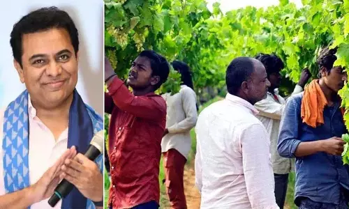 KTR ने कहा कि केसीआर की कृषि क्रांति के कारण तेलंगाना प्रवासी मजदूरों का समर्थन कर रहा KTR ने कहा कि केसीआर की कृषि क्रांति के कारण तेलंगाना प्रवासी मजदूरों का समर्थन कर रहा