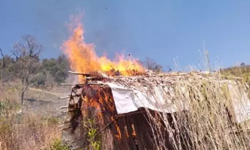 Manipur: दो जॉइंट ऑपरेशन में 83 एकड़ में अफीम की अवैध खेती नष्ट Manipur: दो जॉइंट ऑपरेशन में 83 एकड़ में अफीम की अवैध खेती नष्ट