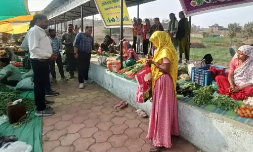 Jhabua: रामा का जैविक हाट बाजार लोगों को भाया Jhabua: रामा का जैविक हाट बाजार लोगों को भाया