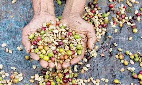 Kerala ; आंगनवाड़ियों में पोषण वितरण बाधित हुआ है
