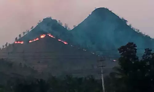 जलती हुई पहाड़ियाँ: जनता में जागरूकता की कमी जलती हुई पहाड़ियाँ: जनता में जागरूकता की कमी