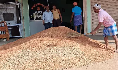 Haveri : अगले सीज़न के लिए 3,500 हेक्टेयर में बुवाई, 4,000 बोरी मूंगफली की उम्मीद Haveri : अगले सीज़न के लिए 3,500 हेक्टेयर में बुवाई, 4,000 बोरी मूंगफली की उम्मीद