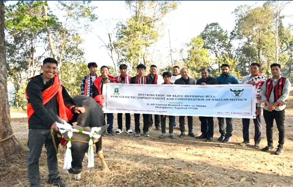 Nagaland : बामसियाकिलवा को मिथुन गांव घोषित किया गया Nagaland : बामसियाकिलवा को मिथुन गांव घोषित किया गया