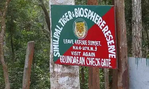 Odisha के सिमलीपाल जंगल में कैंसर रोधी गुणों वाले दुर्लभ लाइकेन पाए गए