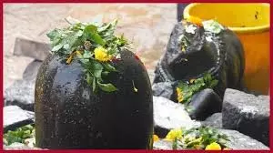 Mahashivratri 2026: महाशिवरात्रि पर बेलपत्र, धतूरा और भांग क्यों चढ़ाए जाते हैं? जानें धार्मिक कारण Mahashivratri 2026: महाशिवरात्रि पर बेलपत्र, धतूरा और भांग क्यों चढ़ाए जाते हैं? जानें धार्मिक कारण