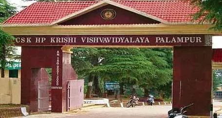 Palampur University ने बिजनेस मीट का आयोजन किया Palampur University ने बिजनेस मीट का आयोजन किया