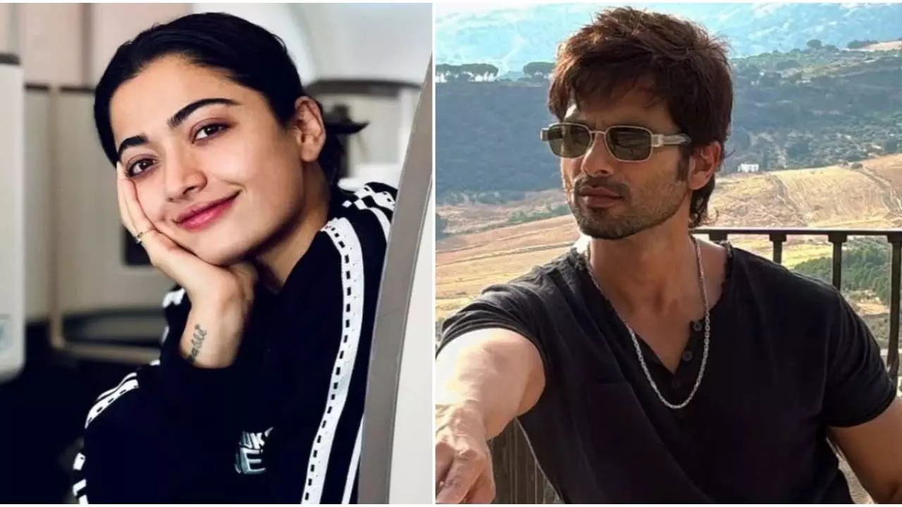 Shahid Kapoor और रश्मिका मंदाना नई फिल्म में अभिनय करेंगे Shahid Kapoor और रश्मिका मंदाना नई फिल्म में अभिनय करेंगे