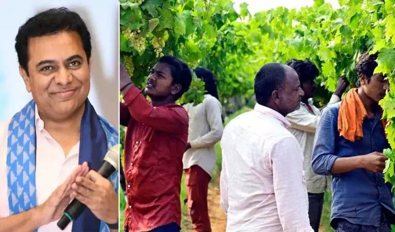 KTR ने कहा कि केसीआर की कृषि क्रांति के कारण तेलंगाना प्रवासी मजदूरों का समर्थन कर रहा KTR ने कहा कि केसीआर की कृषि क्रांति के कारण तेलंगाना प्रवासी मजदूरों का समर्थन कर रहा
