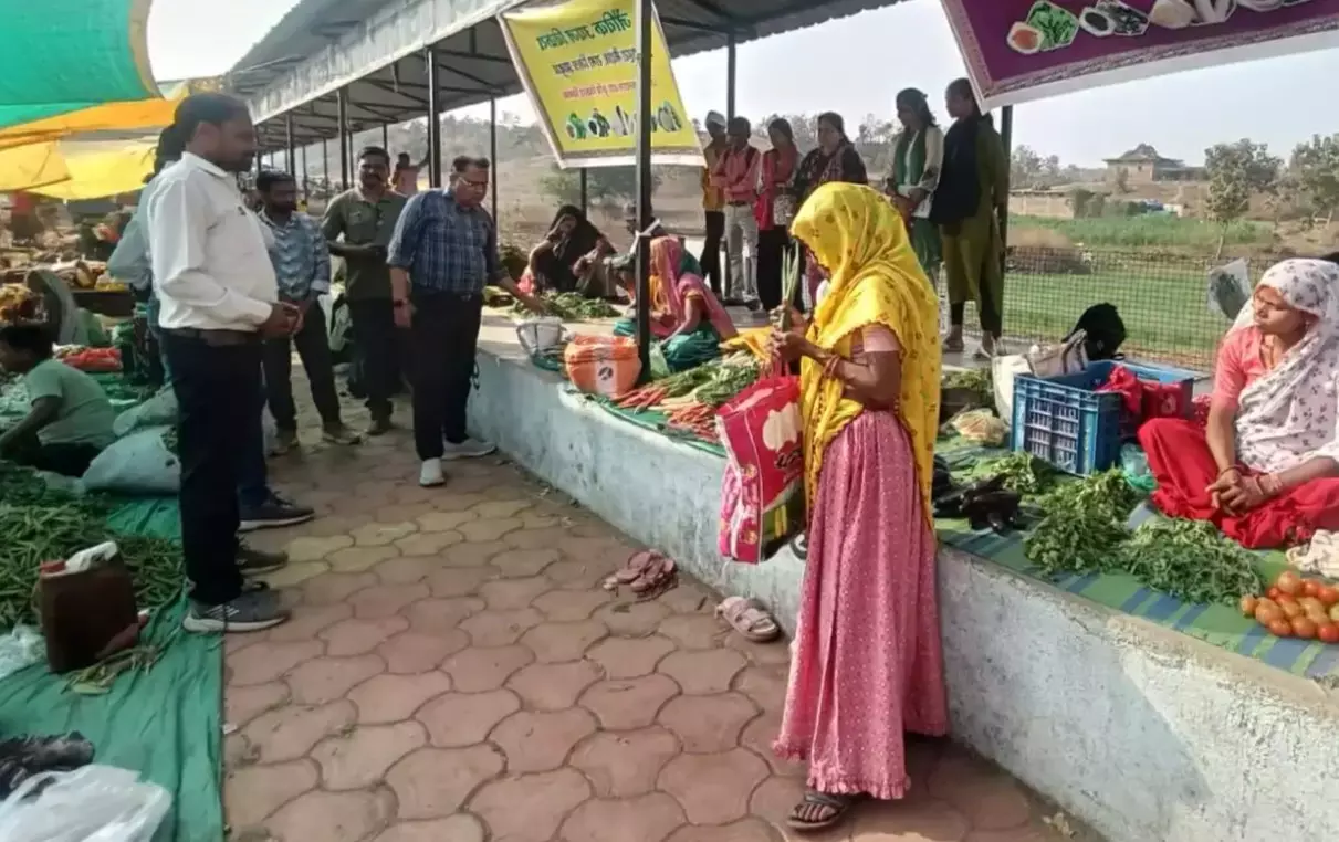 Jhabua: रामा का जैविक हाट बाजार लोगों को भाया Jhabua: रामा का जैविक हाट बाजार लोगों को भाया