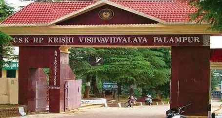 Palampur कृषि विश्वविद्यालय वित्तीय संकट में, स्टाफ और पेंशनभोगियों का बकाया बढ़ता जा रहा Palampur कृषि विश्वविद्यालय वित्तीय संकट में, स्टाफ और पेंशनभोगियों का बकाया बढ़ता जा रहा