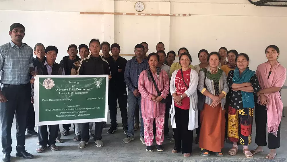 Nagaland यूनिवर्सिटी ने उन्नत फल उत्पादन पर किसानों के लिए ट्रेनिंग आयोजित की Nagaland यूनिवर्सिटी ने उन्नत फल उत्पादन पर किसानों के लिए ट्रेनिंग आयोजित की