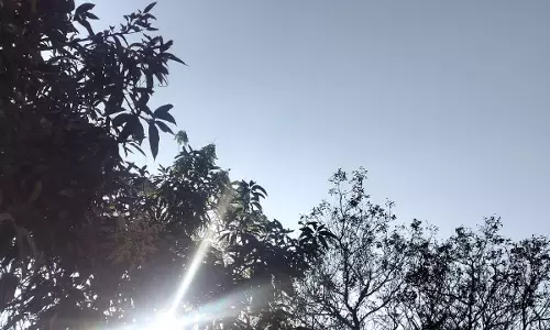 रायपुर का तापमान फिर गिरा, मौसम विभाग की रिपोर्ट