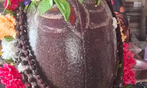 स्वरूप बदलता शिवलिंग, रायपुर के बेलदार सिवनी में उमड़ी भीड़ स्वरूप बदलता शिवलिंग, रायपुर के बेलदार सिवनी में उमड़ी भीड़