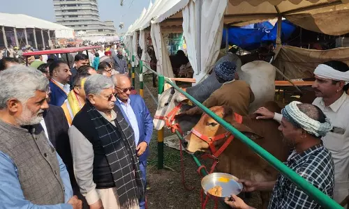 Haryana : सहकारी समितियों को दूध बेचकर प्रति लीटर 9 रुपये ज़्यादा कमाएं Haryana : सहकारी समितियों को दूध बेचकर प्रति लीटर 9 रुपये ज़्यादा कमाएं