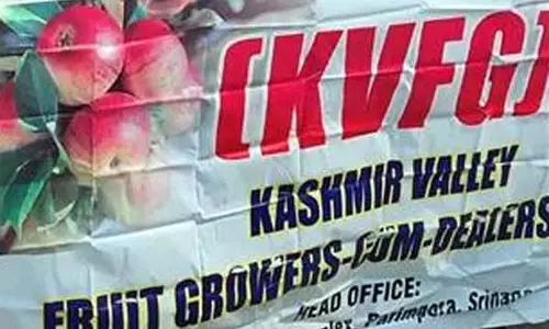 SRINAGAR: फल उत्पादक जलवायु संबंधी जोखिमों से सुरक्षा चाहते हैं