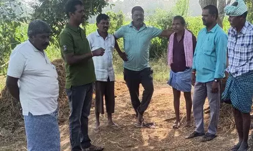 Hanumakonda के नारायणगिरी गांव में जंगली जानवर ने पालतू जानवरों पर हमला किया Hanumakonda के नारायणगिरी गांव में जंगली जानवर ने पालतू जानवरों पर हमला किया