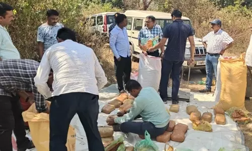 STF ने बौध में 1 क्विंटल गांजा जब्त किया, दो व्यापारी गिरफ्तार STF ने बौध में 1 क्विंटल गांजा जब्त किया, दो व्यापारी गिरफ्तार