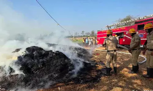 Accidental fire ; चने की फसल नष्ट Accidental fire ; चने की फसल नष्ट