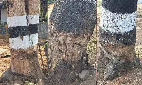 बदमाशों ने Haritha Haram कार्यक्रम के तहत हरियाली को नष्ट करने की कोशिश की बदमाशों ने Haritha Haram कार्यक्रम के तहत हरियाली को नष्ट करने की कोशिश की