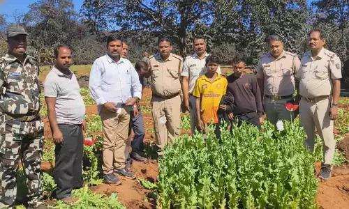 Sundargarh के कोइडा में अवैध अफीम की खेती पर पुलिस फायरिंग, आरोपी फरार Sundargarh के कोइडा में अवैध अफीम की खेती पर पुलिस फायरिंग, आरोपी फरार