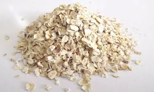 रोज़ Oats खाने से ये स्वास्थ्य लाभ मिल सकते रोज़ Oats खाने से ये स्वास्थ्य लाभ मिल सकते