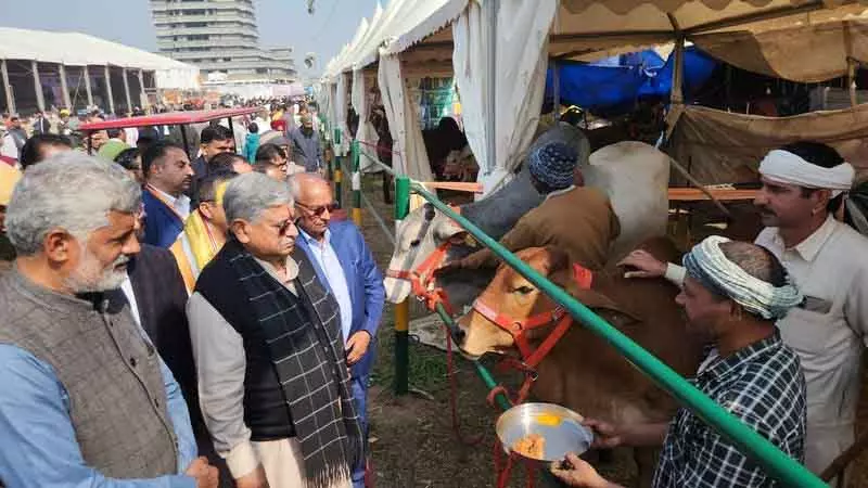 Kurukshetra केंद्रीय मंत्री ने पशुपालक किसानों से कहा: दूध बेचकर प्रति लीटर 9 रुपये ज्यादा कमाएं Kurukshetra केंद्रीय मंत्री ने पशुपालक किसानों से कहा: दूध बेचकर प्रति लीटर 9 रुपये ज्यादा कमाएं