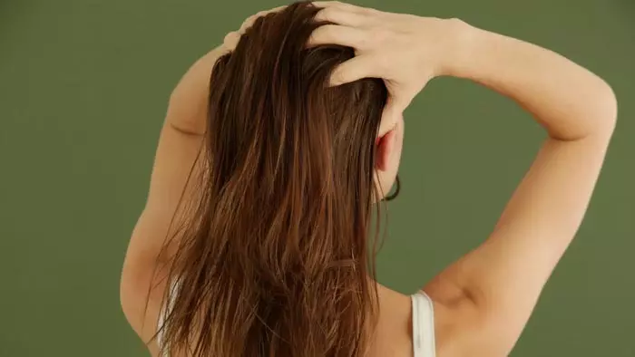Hair Care Tips: बालों को बनाएं घना, मजबूत, तुरंत अपनाएं यह आयुर्वेदिक तरीका Hair Care Tips: बालों को बनाएं घना, मजबूत, तुरंत अपनाएं यह आयुर्वेदिक तरीका