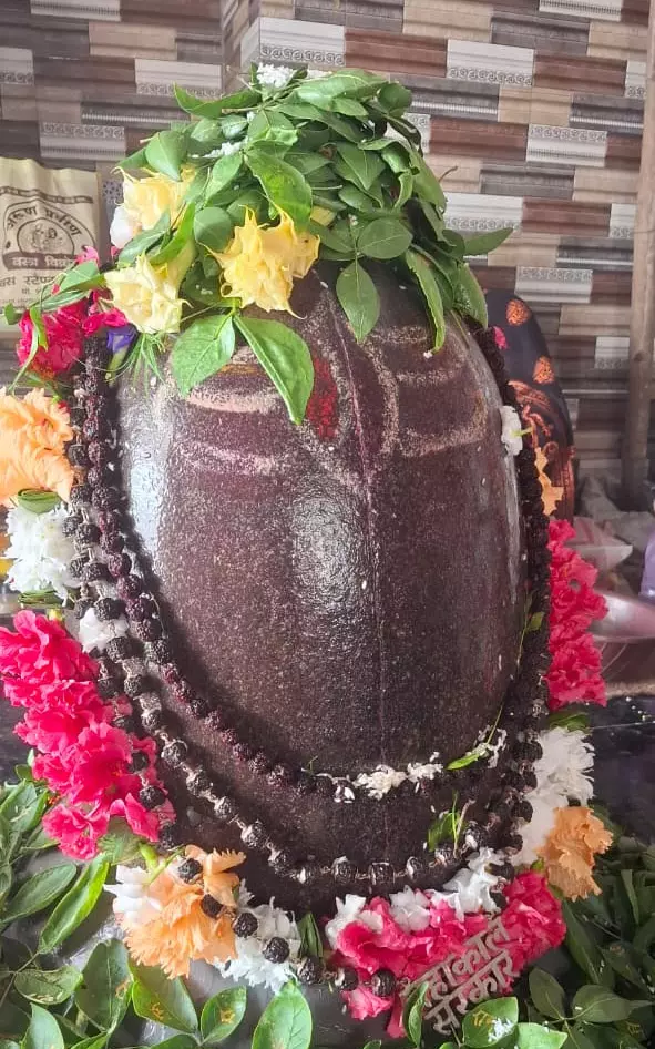 स्वरूप बदलता शिवलिंग, रायपुर के बेलदार सिवनी में उमड़ी भीड़ स्वरूप बदलता शिवलिंग, रायपुर के बेलदार सिवनी में उमड़ी भीड़