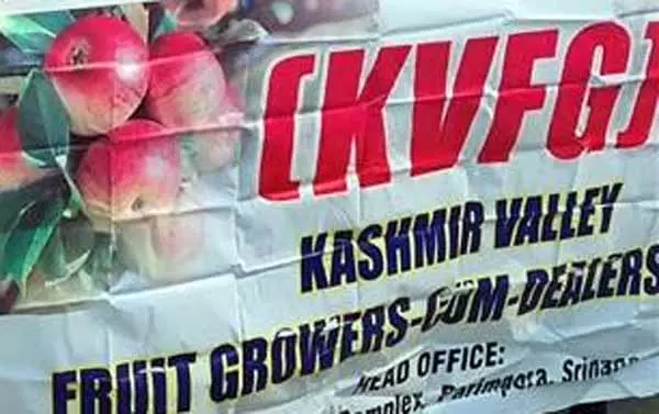 SRINAGAR: फल उत्पादक जलवायु संबंधी जोखिमों से सुरक्षा चाहते हैं SRINAGAR: फल उत्पादक जलवायु संबंधी जोखिमों से सुरक्षा चाहते हैं