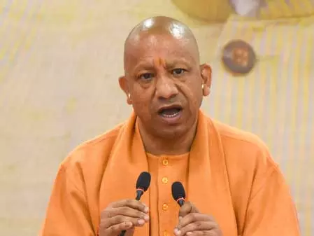 यूपी की गोशालाओं को कैटल फूड सिक्योरिटी हब के रूप में विकसित करेगी सरकार यूपी की गोशालाओं को कैटल फूड सिक्योरिटी हब के रूप में विकसित करेगी सरकार