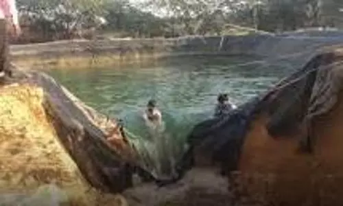 Bikaner: डिग्गी में डूबने से दो मासूम भाइयों की मौत Bikaner: डिग्गी में डूबने से दो मासूम भाइयों की मौत