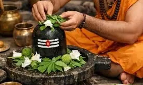 Mahashivratri 2026: महाशिवरात्रि पर शिव पूजा में न चढ़ाएं ये चीजें, महादेव हो सकते हैं नाराज