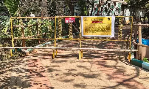 Karnataka : गडग चिड़ियाघर में जीवाणु संक्रमण से नीलगाय की मौत हो गई
