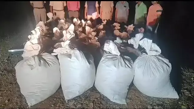 Malkangiri: 1 करोड़ रुपये का गांजा जब्त, 54 बोरी और एक घड़ी जब्त Malkangiri: 1 करोड़ रुपये का गांजा जब्त, 54 बोरी और एक घड़ी जब्त