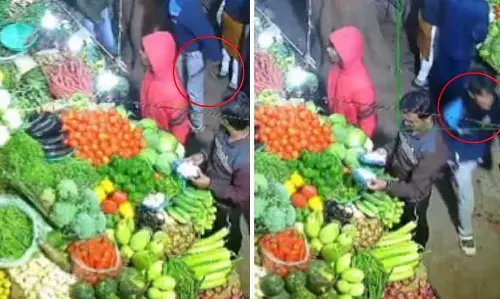 MP : जबलपुर की सब्जी मंडी में दिनदहाड़े सीनियर रेलवे इंजीनियर पर चाकू से हमला MP : जबलपुर की सब्जी मंडी में दिनदहाड़े सीनियर रेलवे इंजीनियर पर चाकू से हमला