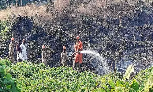 Kerala: आग से छह एकड़ ज़मीन नष्ट हो गई
