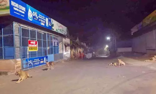 कुत्ते सड़कों पर घूम रहे हैं; लोग डरे हुए है