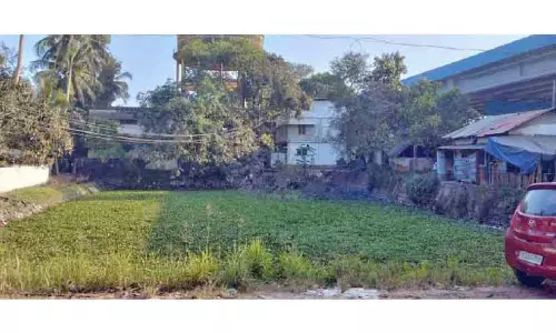 Kerala : पंचायत का सार्वजनिक तालाब कूड़े का ढेर बनता जा रहा है Kerala : पंचायत का सार्वजनिक तालाब कूड़े का ढेर बनता जा रहा है