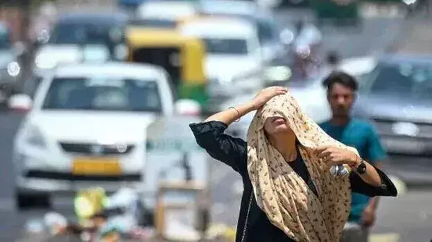 kerala: राज्य में फिर बढ़ा तापमान; जल्द बारिश नहीं, अलर्ट जारी kerala: राज्य में फिर बढ़ा तापमान; जल्द बारिश नहीं, अलर्ट जारी