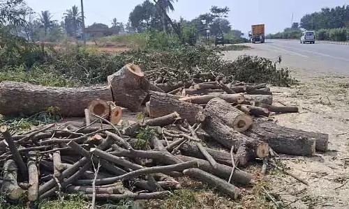 Mulbagilu : विकास के नाम पर पेड़ों का विनाश Mulbagilu : विकास के नाम पर पेड़ों का विनाश