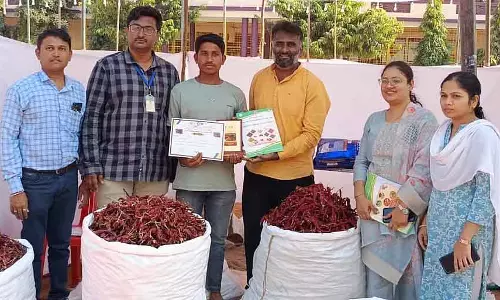Karnataka : मिर्च मेला में 175 क्विंटल बिकी Karnataka : मिर्च मेला में 175 क्विंटल बिकी
