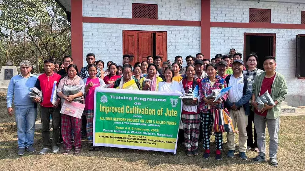 Nagaland : बेहतर जूट की खेती पर प्रशिक्षण Nagaland : बेहतर जूट की खेती पर प्रशिक्षण