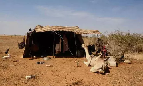 Sudan war में खानाबदोश अल-ओबेद रेगिस्तान में फंसे Sudan war में खानाबदोश अल-ओबेद रेगिस्तान में फंसे