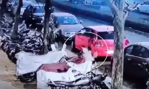 आवारा कुत्तों की दहशत का सनसनीखेज मामला...LIVE वीडियो