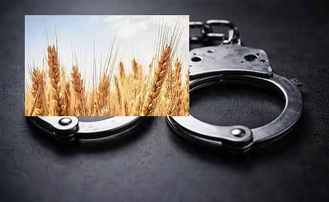 100 रुपये के गेहूं की चोरी: MP का आदमी 45 साल बाद गिरफ्तार 100 रुपये के गेहूं की चोरी: MP का आदमी 45 साल बाद गिरफ्तार