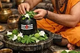Mahashivratri 2026: महाशिवरात्रि पर शिव पूजा में न चढ़ाएं ये चीजें, महादेव हो सकते हैं नाराज Mahashivratri 2026: महाशिवरात्रि पर शिव पूजा में न चढ़ाएं ये चीजें, महादेव हो सकते हैं नाराज