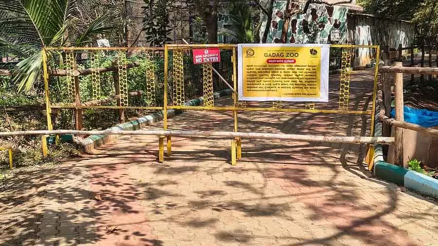 Karnataka : गडग चिड़ियाघर में जीवाणु संक्रमण से नीलगाय की मौत हो गई Karnataka : गडग चिड़ियाघर में जीवाणु संक्रमण से नीलगाय की मौत हो गई