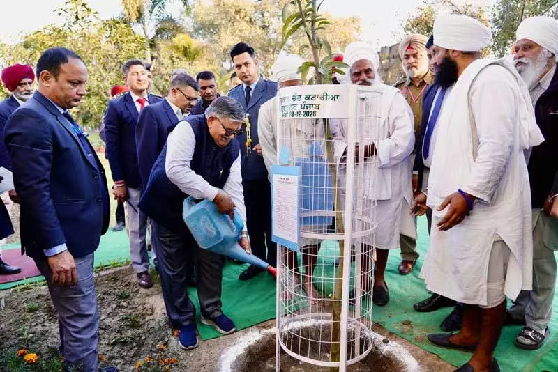 Punjab Governor: सिर्फ सरकारी प्रयासों से ड्रग्स की समस्या खत्म नहीं की जा सकती Punjab Governor: सिर्फ सरकारी प्रयासों से ड्रग्स की समस्या खत्म नहीं की जा सकती